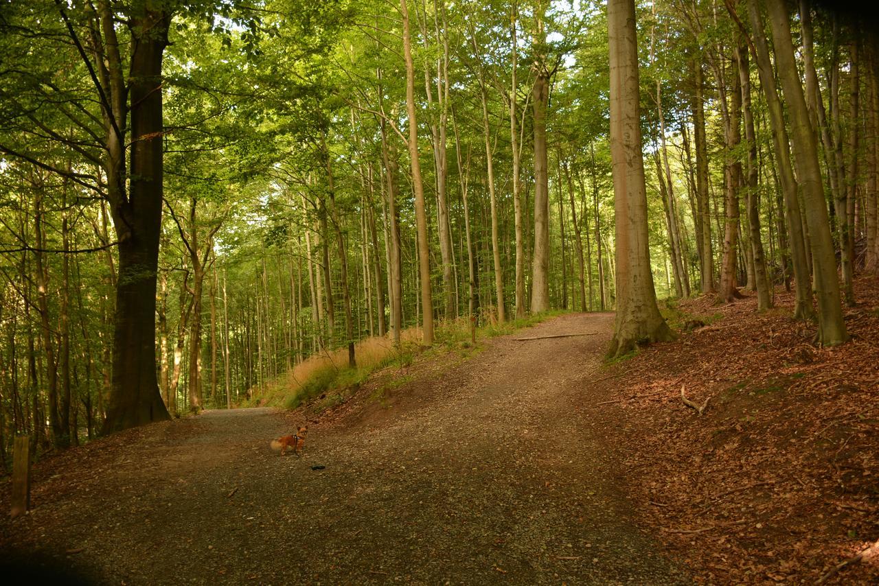 Vejle City Camping Exterior photo